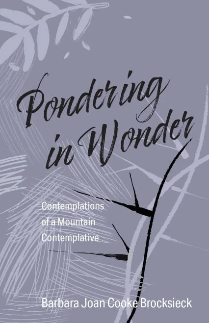 Pondering in Wonder: Contemplations of a Mountain Contemplative