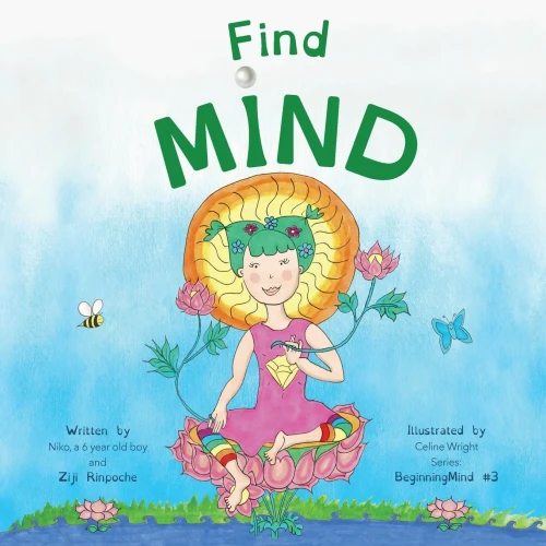 Find Mind: Dzogchen for Kids (an Introduction to Meditation, Short Moments of Strong Mind)