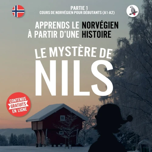 Le mystère de Nils. Partie 1 - Cours de norvégien pour débutants (A1/A2). Apprends le norvégien à partir d'une histoire. (French Edition)