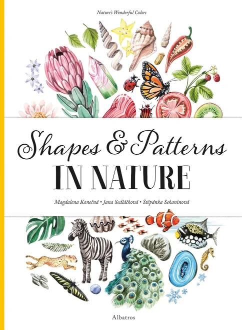 Shapes and Patterns in Nature (Nature's Wonderful Colors)