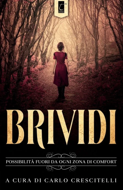BRIVIDI: Possibilità fuori da ogni zona di comfort (Italian Edition)