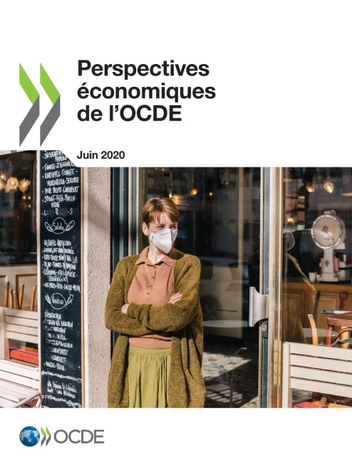 Perspectives économiques de l'OCDE, Volume 2020 Numéro 1 (French Edition)