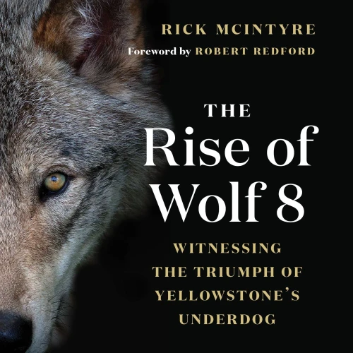 The Rise of Wolf 8: Witnessing the Triumph of Yellowstone's Underdog (The Alpha Wolves of Yellowstone (1))
