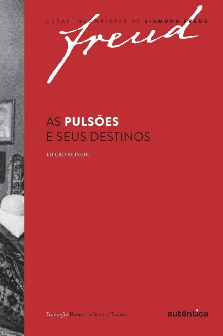 As pulsões e seus destinos (Portuguese Edition)