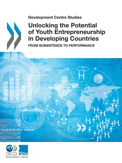Unlocking the Potential of Youth Entrepreneurship in Developing Countries: From Subsistence to Performance