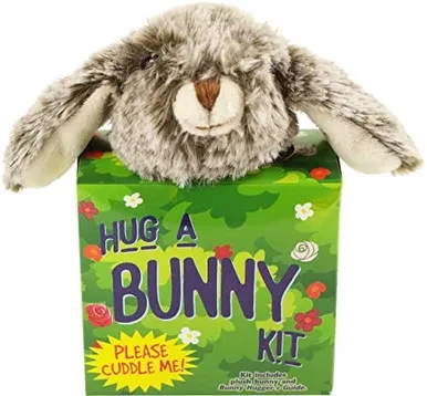 Hug a Bunny Kit (Plush with book set)