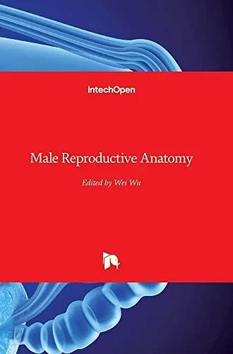 Male Reproductive Anatomy