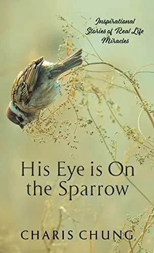 His Eye Is On The Sparrow : Inspirational Stories Of Real Life Miracles - 9781982277727