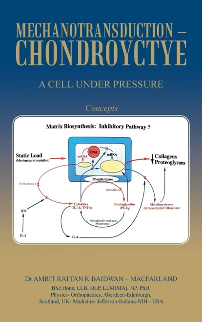 Mechanotransduction - Chondroyctye : A Cell Under Pressure - 9781665595209