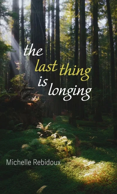 The Last Thing Is Longing - 9781666791211