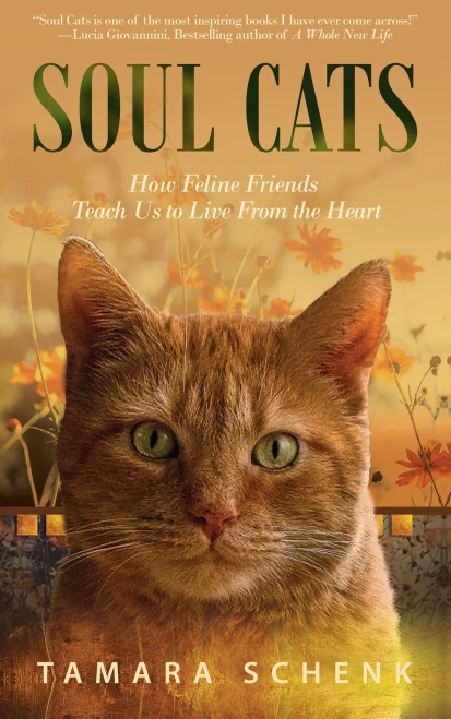 Soul Cats : How Our Feline Friends Teach Us To Live From The Heart