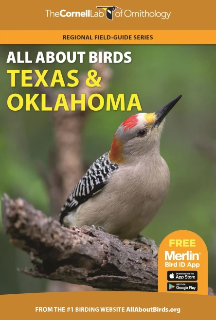 All About Birds Texas And Oklahoma