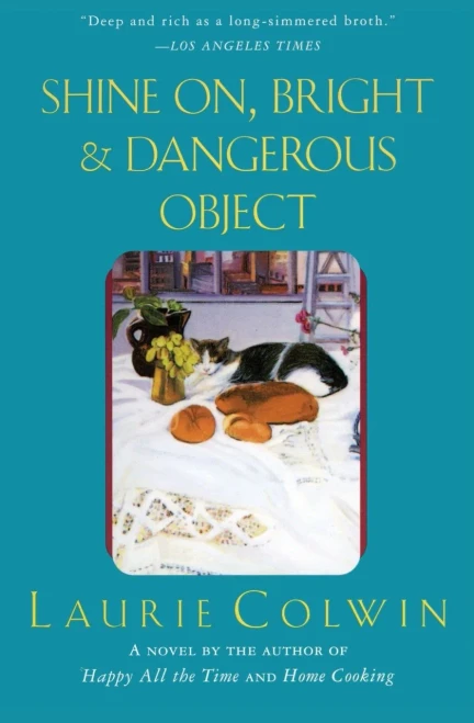 Shine On, Bright And Dangerous Object