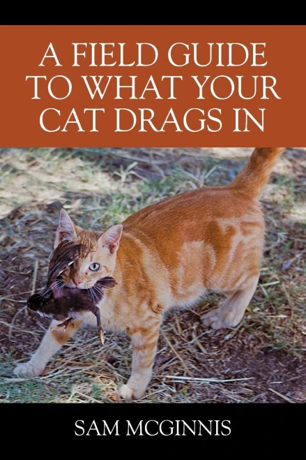 A Field Guide To What Your Cat Drags In