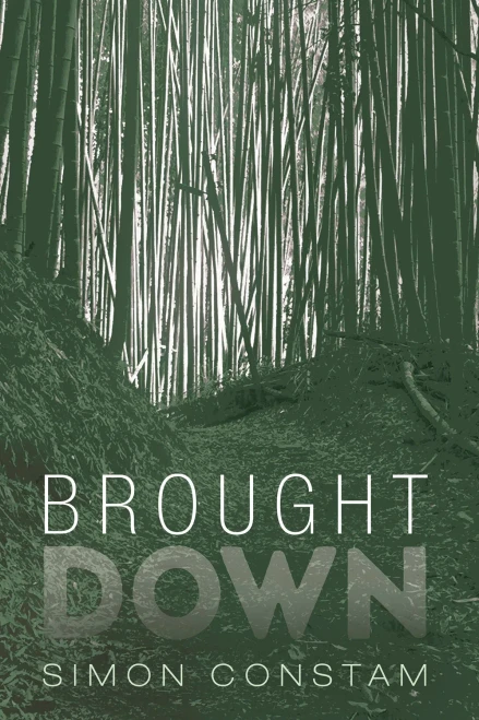 Brought Down