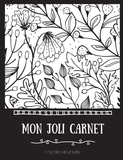 Mon Joli Carnet : ... Sans Savoir Dessiner !