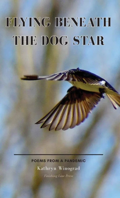 Flying Beneath The Dog Star : Poems From A Pandemic - 9781646627486