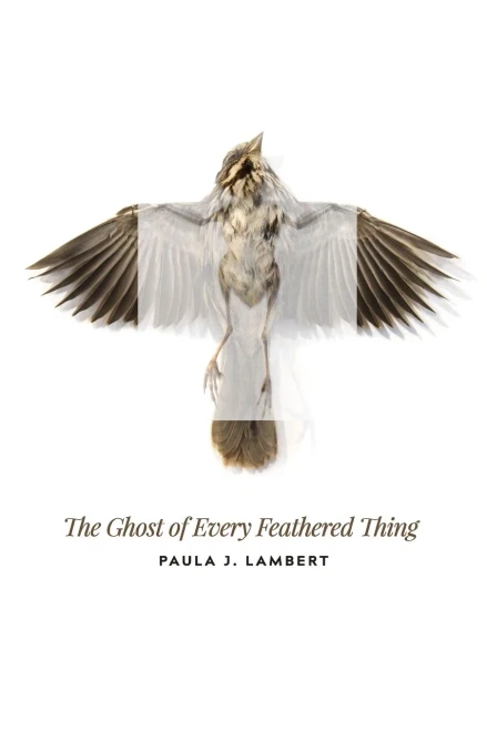 The Ghost Of Every Feathered Thing