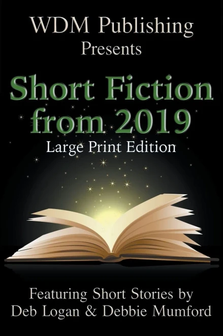 Wdm Presents : Short Fiction From 2019 (Large Print Edition)