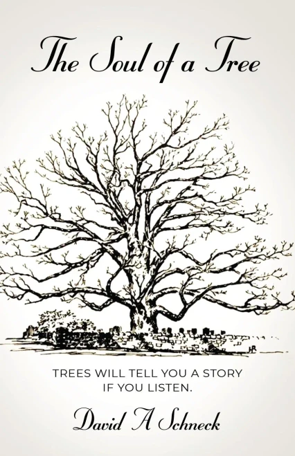The Soul Of A Tree - 9781647195960