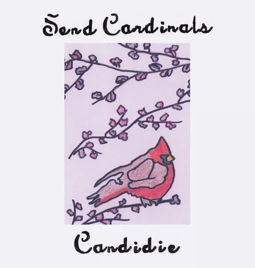 Send Cardinals - 9781665715614