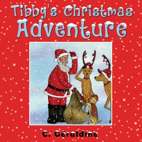 Tibby'S Christmas Adventure - 9781737999713