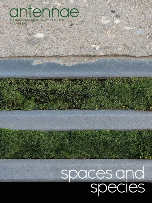 Antennae #56 Spaces And Species