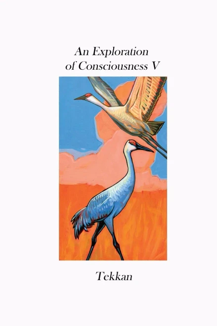 An Exploration Of Consciousness V