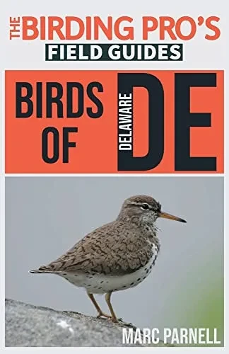 Birds Of Delaware : The Birding Pro'S Field Guides