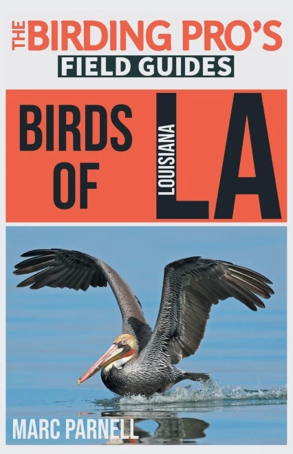 Birds Of Louisiana : The Birding Pro'S Field Guides