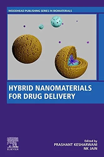 Hybrid Nanomaterials For Drug Delivery