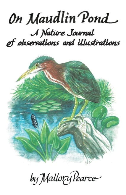 On Maudlin Pond : A Nature Journal Of Observations And Illustrations: A Nature Journal Of