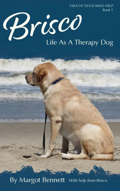 Brisco, Life As A Therapy Dog - 9781735799001