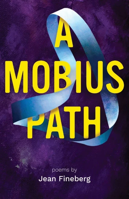 A Mobius Path - 9781646627721