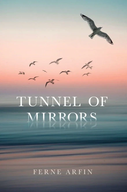 Tunnel Of Mirrors - 9781802270648
