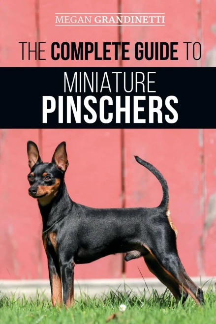 The Complete Guide To Miniature Pinschers: Training, Feeding, Socializing, Caring For And Loving Your New Min Pin Puppy