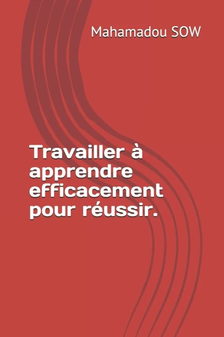 Travailler À Apprendre Efficacement Pour Réussir. (S'Organiser Et Apprendre Efficacement) (French Edition)