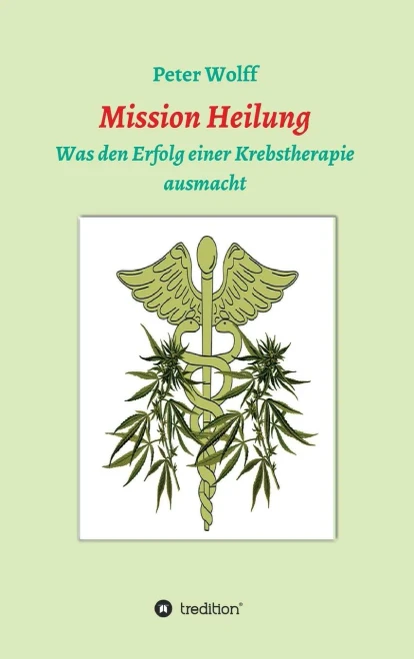 Mission Heilung: Was Den Erfolg Einer Krebstherapie Ausmacht (German Edition) - 9783347007734