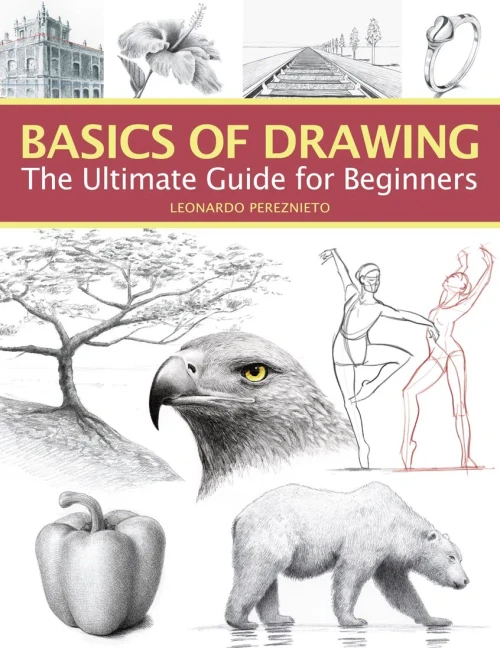 Basics Of Drawing: The Ultimate Guide For Beginners