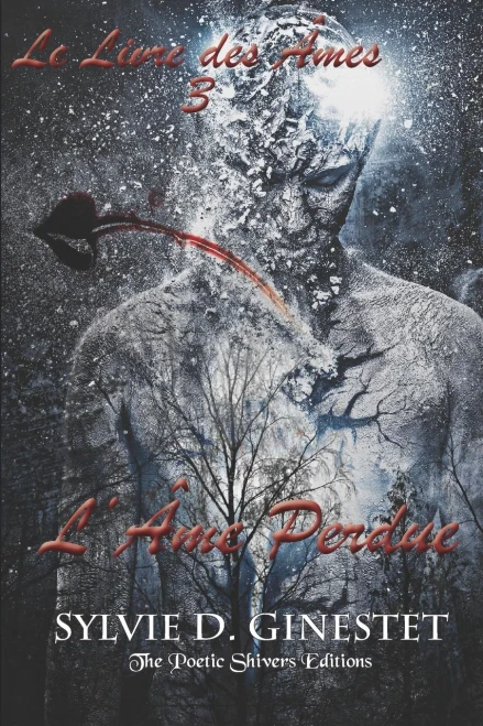 L'Âme Perdue (Le Livre Des Âmes) (French Edition)