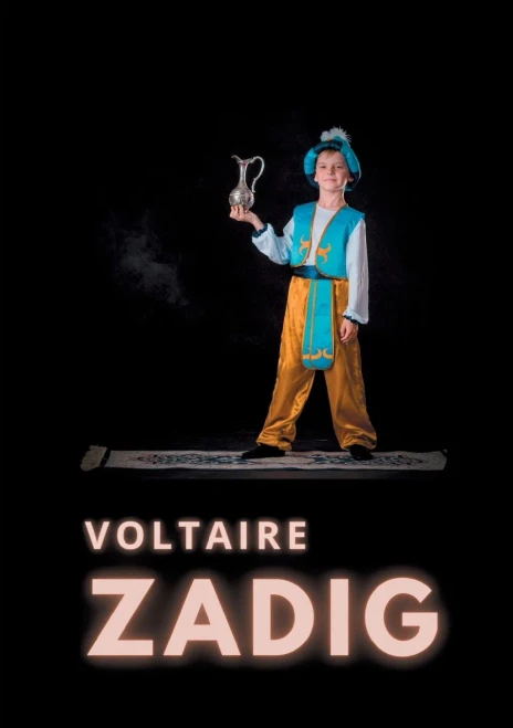 Zadig: Ou La Destinée (French Edition)