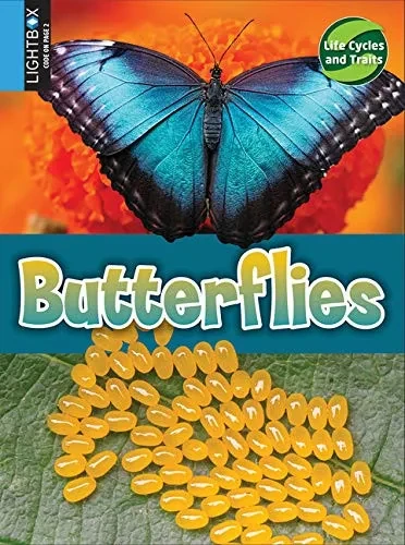 Butterflies (Life Cycles And Traits)