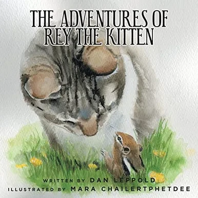 The Adventures Of Rey The Kitten