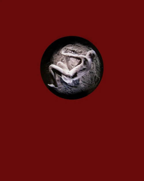 The Void: Wolfgang H Scholz: Photography, Film, Performance and Installation (Arte y foto)