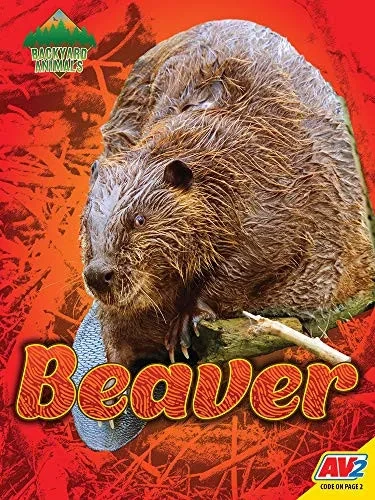 Beaver (Backyard Animals)