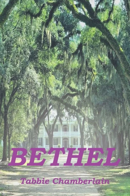 Bethel - 9781664252240