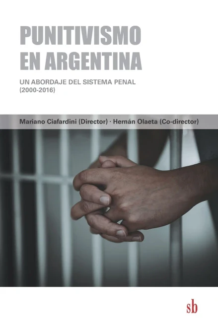 Punitivismo En Argentina: Un Abordaje Del Sistema Penal (2000-2016) (Spanish Edition)
