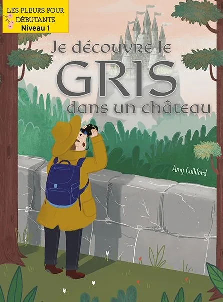Je Découvre Le Gris Dans Un Château (I Spy Gray in a Castle)