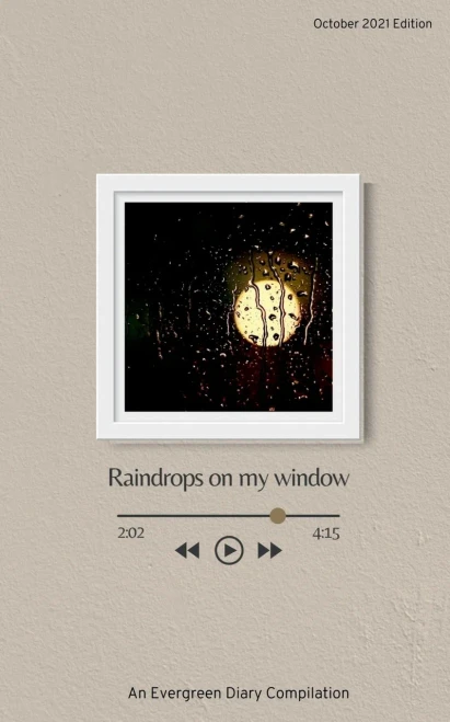 Raindrops On My Window