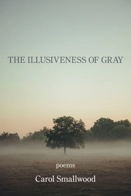 The Illusiveness Of Gray